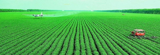 糧食種植新建實(shí)驗(yàn)室檢測項(xiàng)目及儀器方案 糧食種植新建實(shí)驗(yàn)室檢測項(xiàng)目及儀器方案