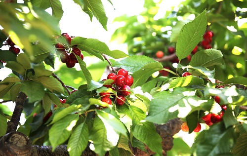 1647842673395644.png image.png