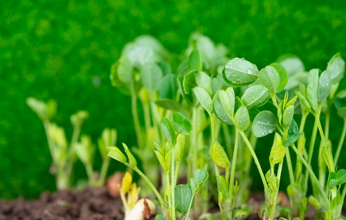 1648534867933898.png image.png