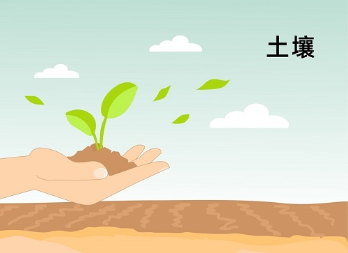 1650345451555381.png image.png