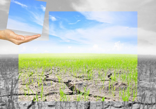 1652162098203615.png image.png