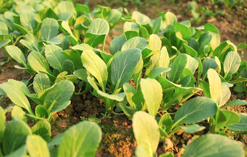 1655260092214595.png image.png