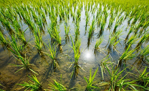 1657078450122771.png image.png