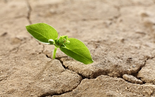 1657594837320005.png image.png