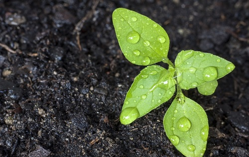 1657767259934835.png image.png