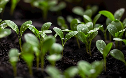 1659324264693759.png image.png