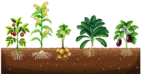 1661395059106715.png image.png