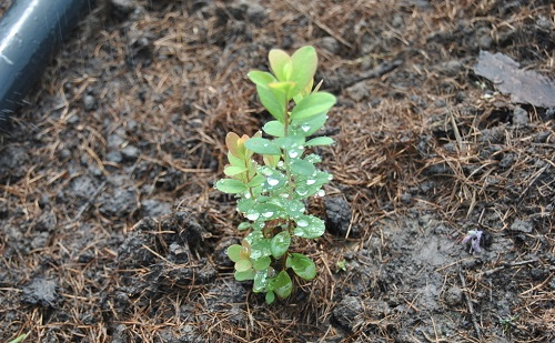 1662694108214123.png image.png