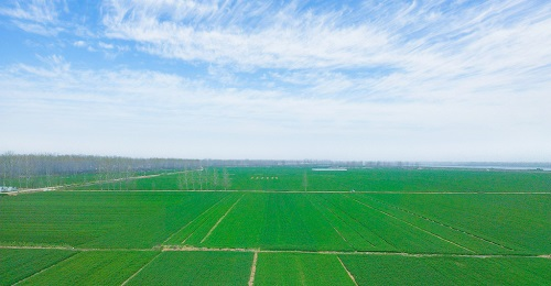 1666667459245077.png image.png