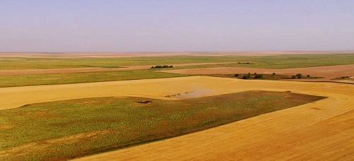 1666853678101445.png image.png