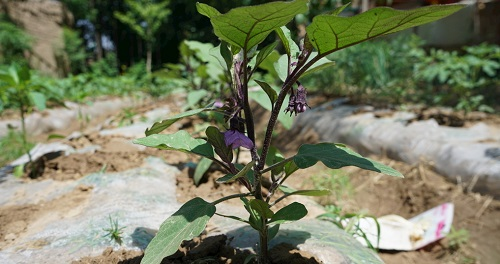 1670218806646841.png image.png