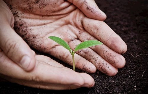 1670315235985269.png image.png