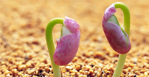 1670479259209387.png image.png