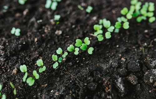 1671435255157553.png image.png