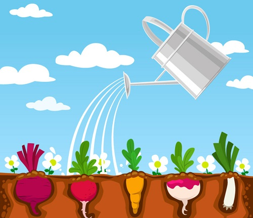 1673848847902651.png image.png