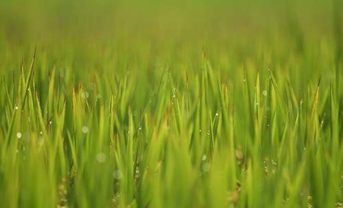 1674106774197662.png image.png