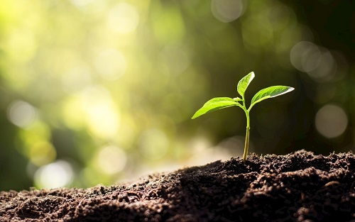 1675400950449212.png image.png