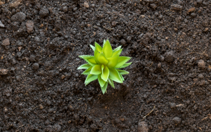 1681109446635307.png 土壤水勢(shì)測(cè)定儀