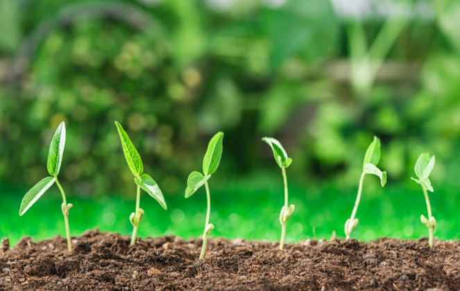 1681194150169523.png 土壤酸堿度速測儀的自我介紹