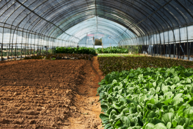 1683185049185106.png 土壤測(cè)量?jī)x器