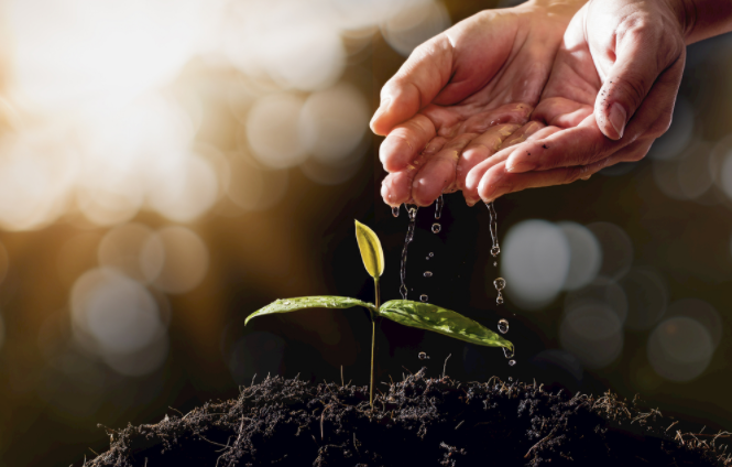 1684128340424399.png 1684128340424399.png